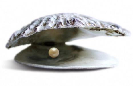 The Lost Pearl- A Timeless Appeal